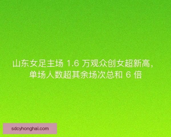 山东女足主场 1.6 万观众创女超新高，单场人数超其余场次总和 6 倍