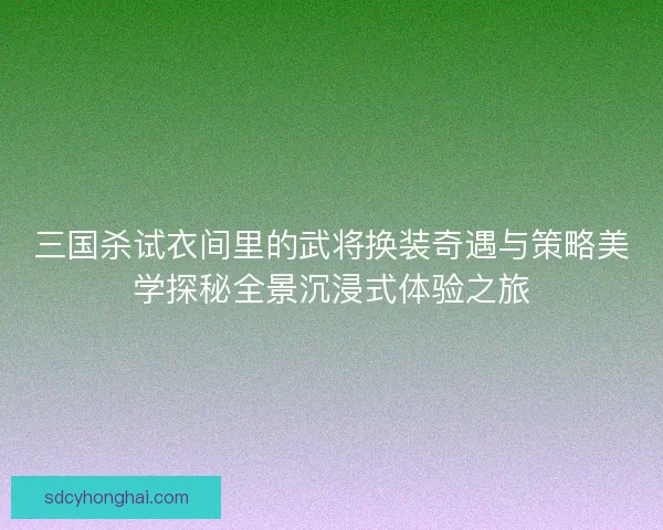 三国杀试衣间里的武将换装奇遇与策略美学探秘全景沉浸式体验之旅