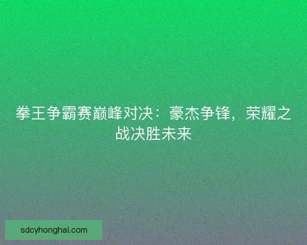 拳王争霸赛巅峰对决：豪杰争锋，荣耀之战决胜未来